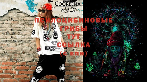 прущий лед Алексеевка