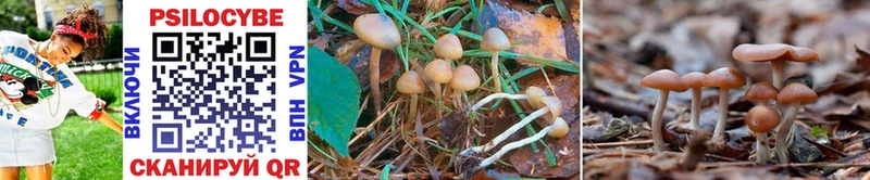 Псилоцибиновые грибы MAGIC MUSHROOMS  Артём 